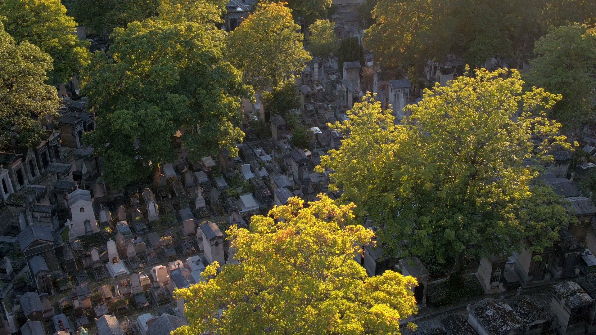 Regards croisés au cimetière du Père Lachaise avec Éternel jardin