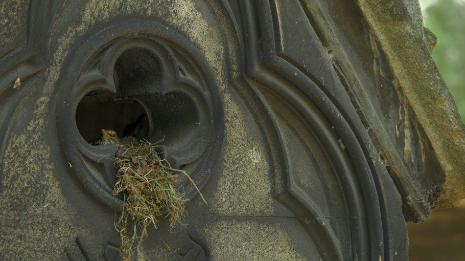 FUNECAP GROUPE Eternel jardin chapelle cimetière du Père Lachaise